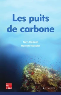 Les puits de carbone