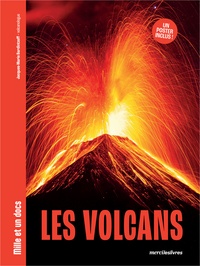 Jacques-Marie Bardintzeff - Les Volcans - Mille et un docs - Inclus : un poster recto verso !.