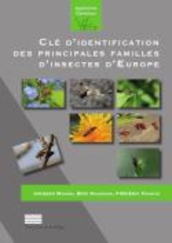 Clé d'identification des principales familles d'insectes d'Europe