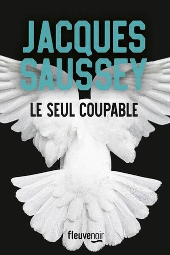 Le  seul coupable