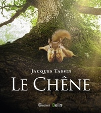 Jacques Tassin - Le chêne.
