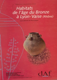 Habitats de l'âge du bronze à Lyon-Vaise, Rhône