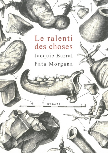 Jacquie Barral - Le ralenti des choses.
