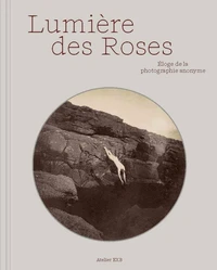 Lumière des roses