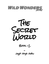 The Secret World
