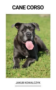 Cane Corso