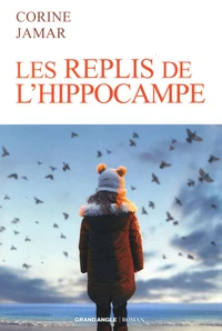 Les replis de l'hippocampe