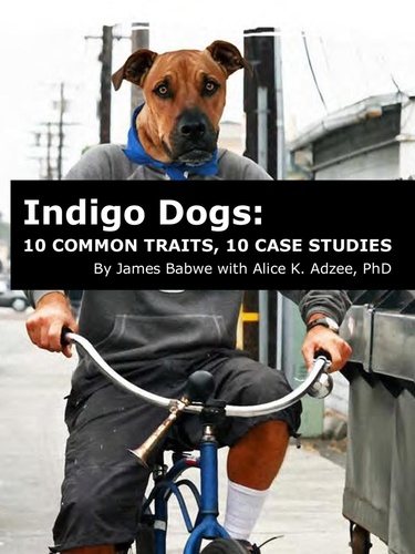  James Babwe et  Alice K. Adzee, PhD - Indigo Dogs: 10 Common Traits, 10 Case Studies.
