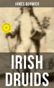 Irish Druids