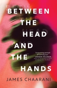 James Chaarani - Between the Head and the Hands - A Novel.