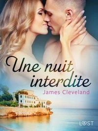 Une nuit interdite - une nouvelle érotique