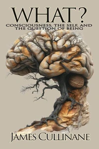What? Consciousness, the Self, and the Question of Being