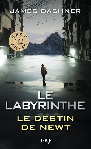 Le Labyrinthe. Le destin de Newt