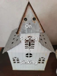 On Soaring &amp; Sinking