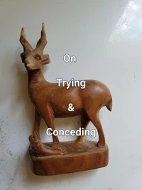On Trying &amp; Conceding
