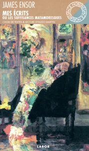 Mes écrits ou Les suffisantes matamoresques