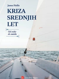 Kriza srednjih let