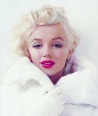 Miltons Marilyn - The Photographs of Milton Greene.pdf