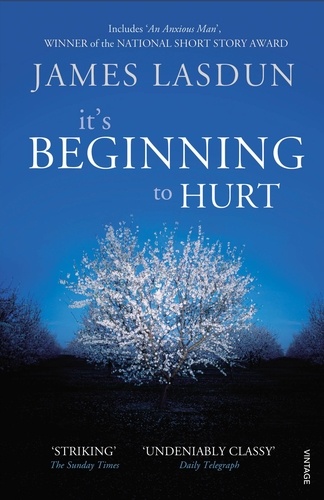 James Lasdun - It's Beginning To Hurt.