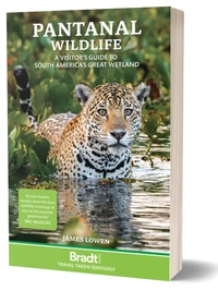 Pantanal wildlife