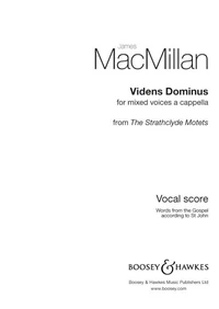Videns Dominus