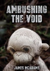  James McAdams - Ambushing the Void.