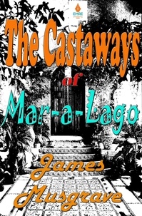  James Musgrave - Castaways of Mar-a-Lago.