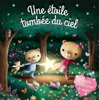 Une étoile tombée du ciel