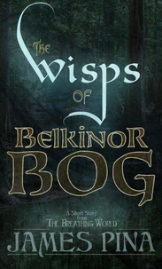 The Wisps of Belkinor Bog