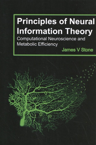 Principles of Neural Information Theory. Computational Neuroscience and Metabolic Efficiency