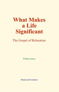What Makes a Life Significant