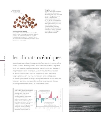 Merveilles et secrets des océans. Une plongée fascinante au coeur du monde marin