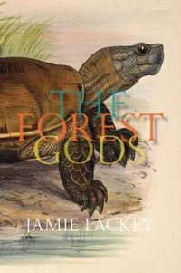 The Forest Gods