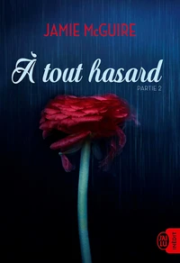 À tout hasard (Partie 2)