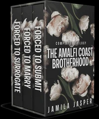 The Amalfi Coast Brotherhood Completed Trilogy: BWWM Dark Mafia Romance Boxed Set