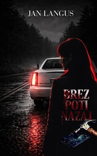 Brez Poti Nazaj