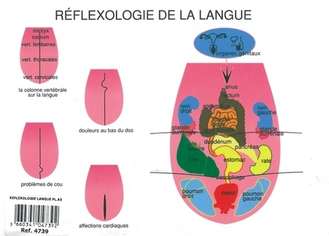 Jan Van Baarle - Réflexologie de la langue.