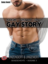 Téléchargement gratuit de livres en ligne Gay Story - Ausgabe 3  - Sexgeschichte unzensiert & ungeniert in French