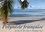 CALVENDO Places  Polynésie française - des îles de rêve dans le Pacifique Sud (Calendrier mural 2020 DIN A4 horizontal). Mer, lagons et récifs - à la découverte des mers du sud (Calendrier mensuel, 14 Pages )