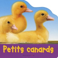 Jane Burton - Petits canards.
