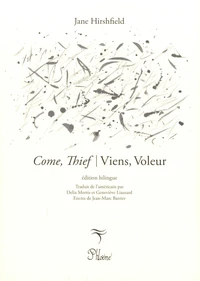 Viens, Voleur