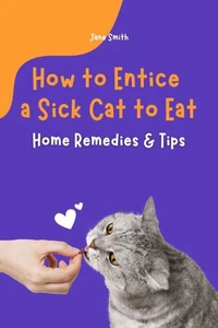 How to Entice a Sick Cat to Eat – Home Remedies &amp; Tips
