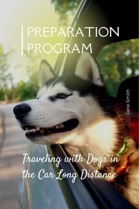 Traveling with Dogs in the Car Long Distance: Preparation Program