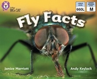 Janice Marriott et Andy Keylock - Fly Facts - Band 07/Turquoise.