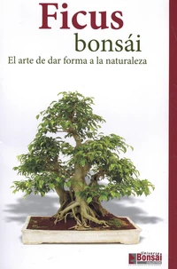 Ficus Bonsái