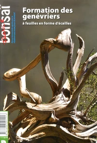 Formation des genévriers à feuilles en forme d'écailles