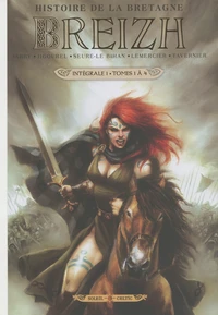 Breizh Histoire de la Bretagne Intégrale 1 Tomes 1 à 4