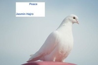 Téléchargements de livres au format pdf Peace - Phoenix Rising 1000, #34 9798223739821