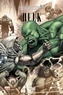 Jason Aaron et Peter David - Hulk Tome 3 : Unité.