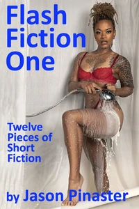 Flash Fiction One:  Twelve Pieces of Short Fiction